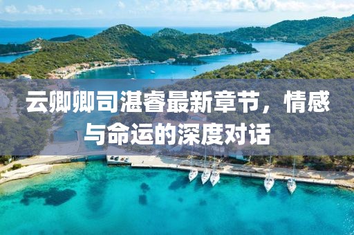 云卿卿司湛睿最新章节，情感与命运的深度对话