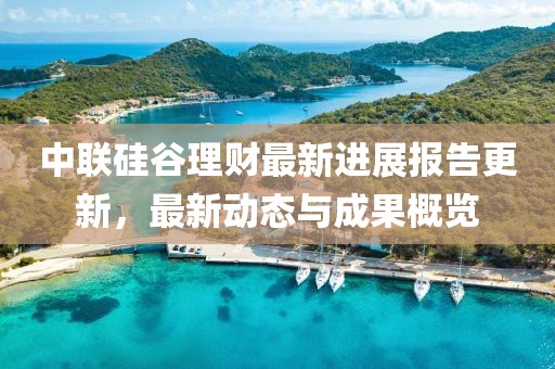 中联硅谷理财最新进展报告更新，最新动态与成果概览