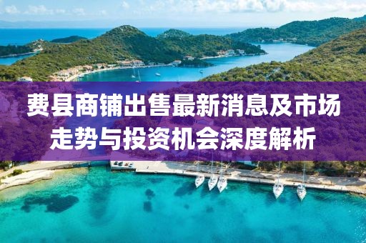费县商铺出售最新消息及市场走势与投资机会深度解析