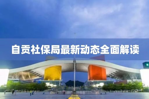 自贡社保局最新动态全面解读