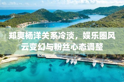 郑爽杨洋关系冷淡，娱乐圈风云变幻与粉丝心态调整