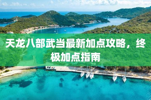 天龙八部武当最新加点攻略，终极加点指南