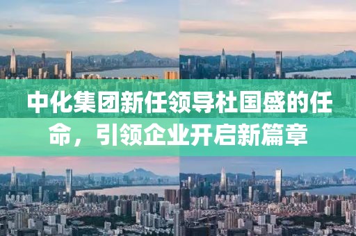 中化集团新任领导杜国盛的任命，引领企业开启新篇章