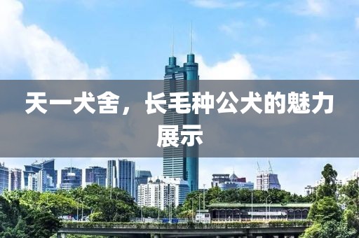 天一犬舍，长毛种公犬的魅力展示