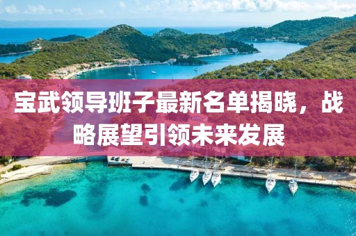 宝武领导班子最新名单揭晓，战略展望引领未来发展
