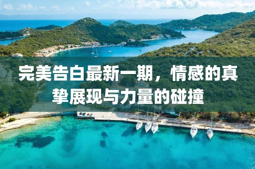 完美告白最新一期，情感的真挚展现与力量的碰撞