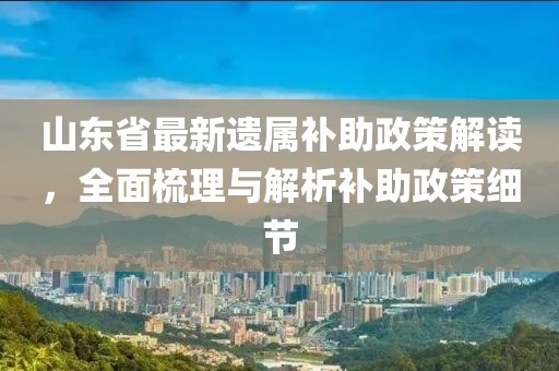 山东省最新遗属补助政策解读，全面梳理与解析补助政策细节