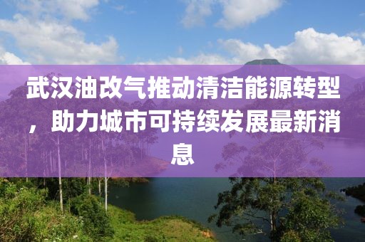 武汉油改气推动清洁能源转型，助力城市可持续发展最新消息