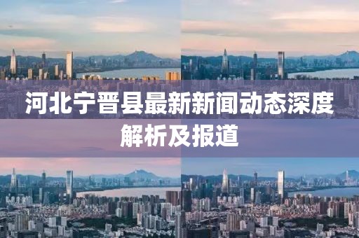 河北宁晋县最新新闻动态深度解析及报道