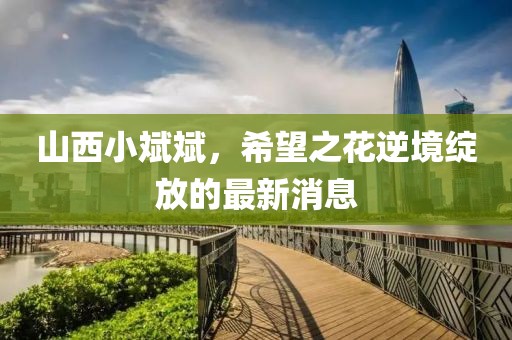 山西小斌斌，希望之花逆境绽放的最新消息