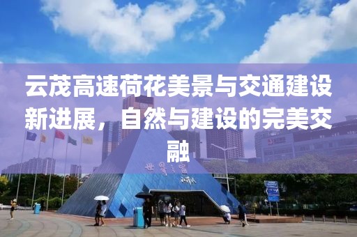 云茂高速荷花美景与交通建设新进展，自然与建设的完美交融
