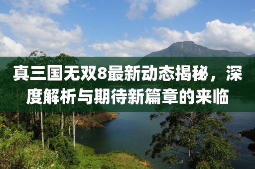 真三国无双8最新动态揭秘，深度解析与期待新篇章的来临