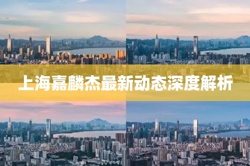 上海嘉麟杰最新动态深度解析