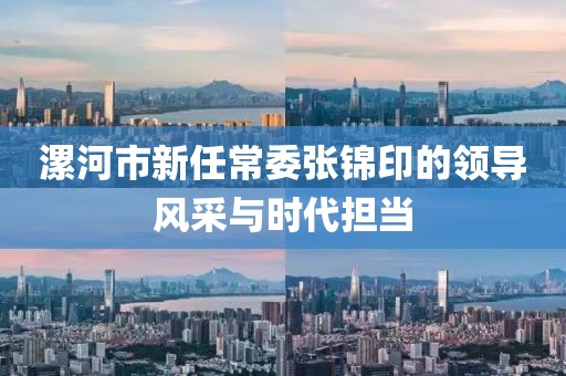 漯河市新任常委张锦印的领导风采与时代担当