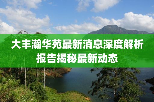 大丰瀚华苑最新消息深度解析报告揭秘最新动态
