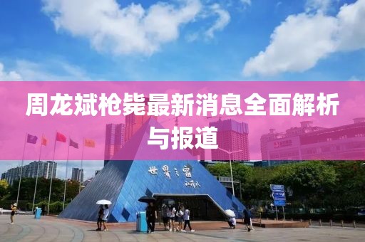 周龙斌枪毙最新消息全面解析与报道