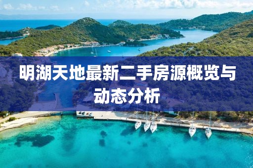 明湖天地最新二手房源概览与动态分析