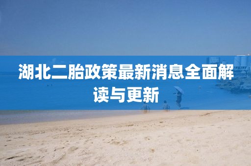 湖北二胎政策最新消息全面解读与更新