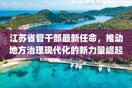 江苏省管干部最新任命，推动地方治理现代化的新力量崛起