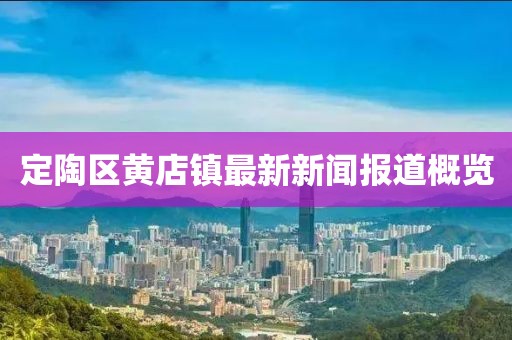 定陶区黄店镇最新新闻报道概览