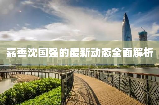 嘉善沈国强的最新动态全面解析