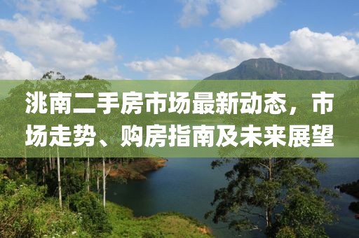 洮南二手房市场最新动态，市场走势、购房指南及未来展望