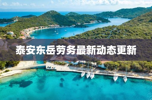 泰安东岳劳务最新动态更新