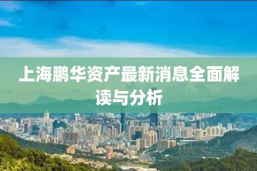 上海鹏华资产最新消息全面解读与分析