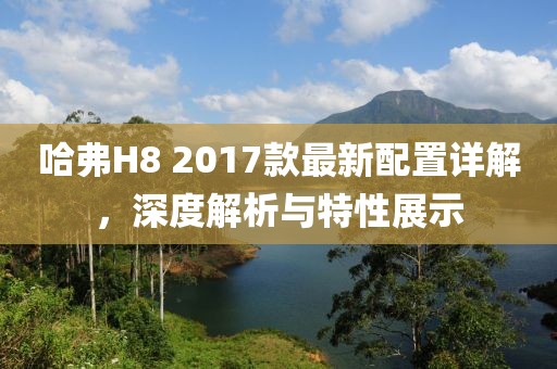 哈弗H8 2017款最新配置详解，深度解析与特性展示