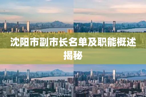 沈阳市副市长名单及职能概述揭秘