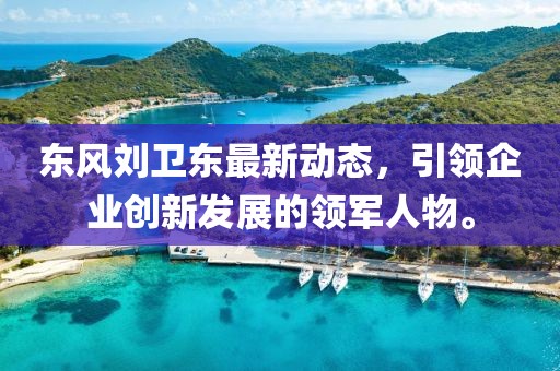东风刘卫东最新动态，引领企业创新发展的领军人物。