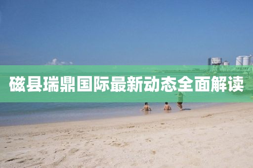 磁县瑞鼎国际最新动态全面解读