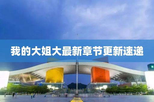 我的大姐大最新章节更新速递