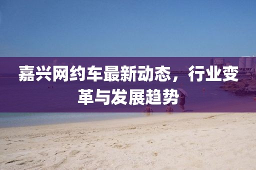 嘉兴网约车最新动态，行业变革与发展趋势