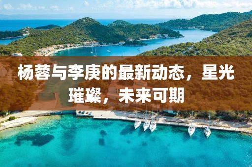 杨蓉与李庚的最新动态，星光璀璨，未来可期