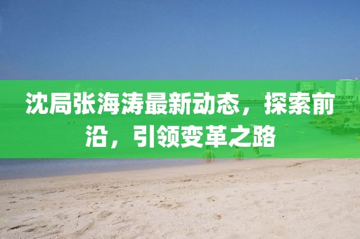 沈局张海涛最新动态，探索前沿，引领变革之路