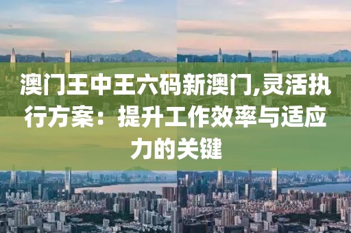 澳门王中王六码新澳门,灵活执行方案：提升工作效率与适应力的关键