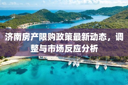 济南房产限购政策最新动态，调整与市场反应分析