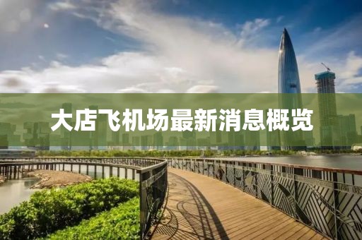 大店飞机场最新消息概览
