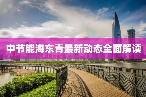 中节能海东青最新动态全面解读