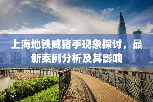 上海地铁咸猪手现象探讨，最新案例分析及其影响