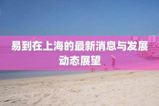 易到在上海的最新消息与发展动态展望