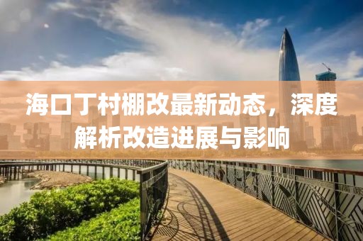 海口丁村棚改最新动态，深度解析改造进展与影响