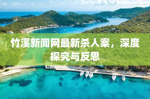 竹溪新闻网最新杀人案，深度探究与反思