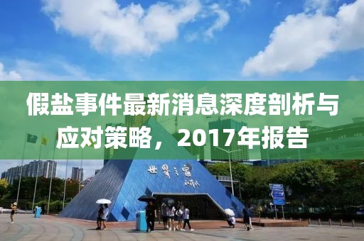 假盐事件最新消息深度剖析与应对策略，2017年报告
