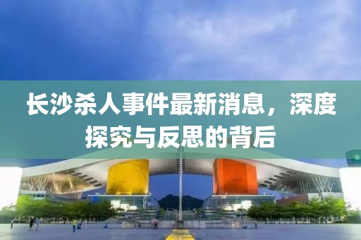 长沙杀人事件最新消息，深度探究与反思的背后