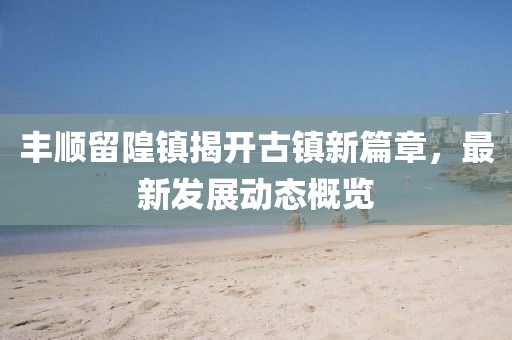 丰顺留隍镇揭开古镇新篇章，最新发展动态概览
