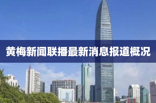黄梅新闻联播最新消息报道概况