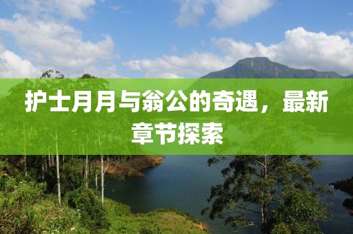 护士月月与翁公的奇遇，最新章节探索