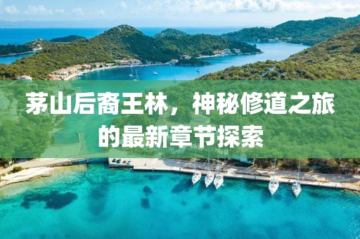 茅山后裔王林，神秘修道之旅的最新章节探索